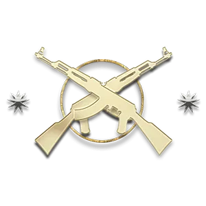 Master Guardian Elite rank icon